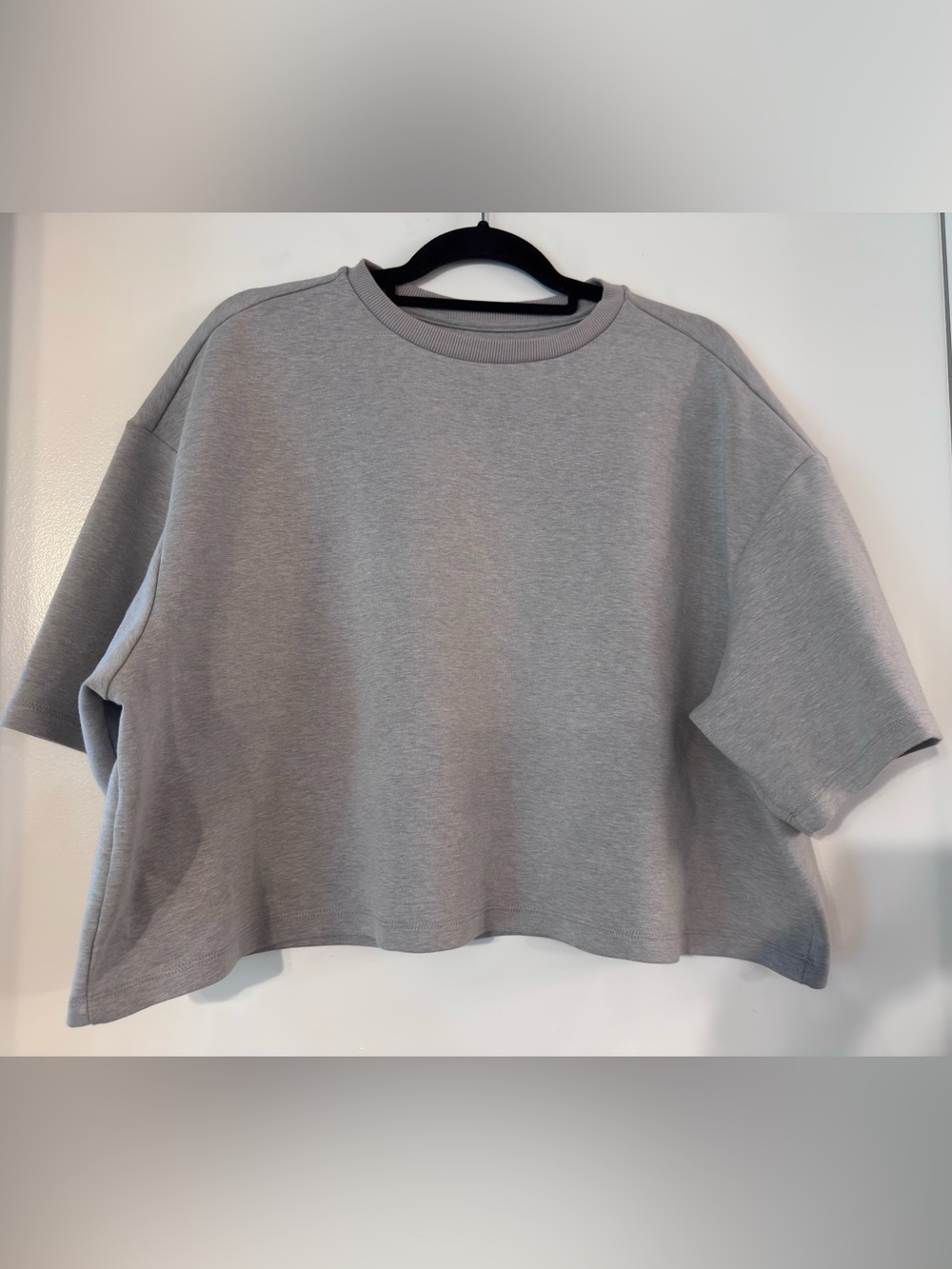 Lee Minimalist Light Gray Cropped Sweatshirt